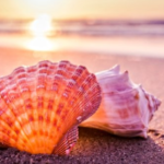 relattionshop session