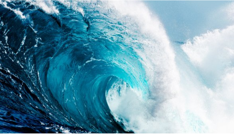 Wealth from the Water Ancestors