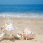 you and partner element